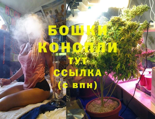мескалин Арсеньев