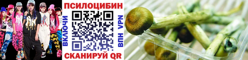 Галлюциногенные грибы GOLDEN TEACHER  Багратионовск 